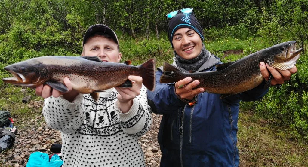 Topp 5 fiskeplasser i Nord Norge