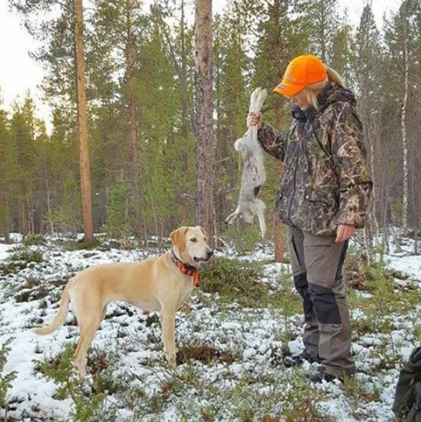 Valla i Reisadalen