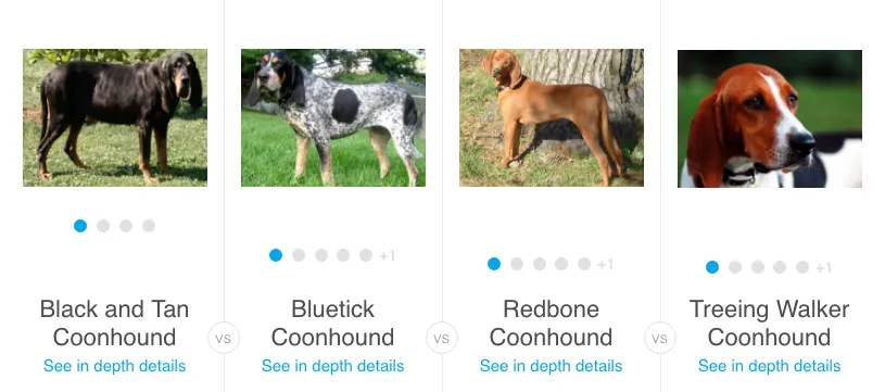 Sammenligning av coonhounds