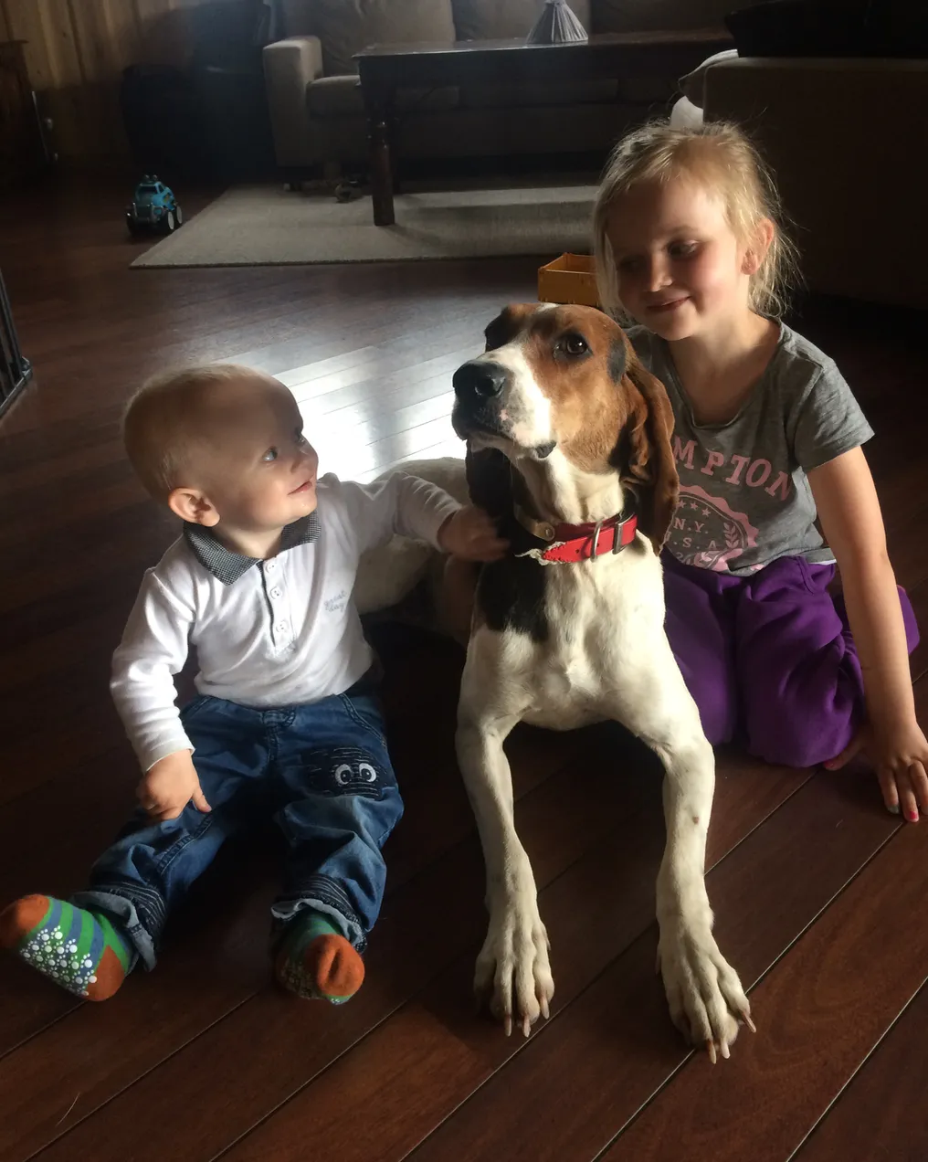 Treeing Walker Coonhound med barn