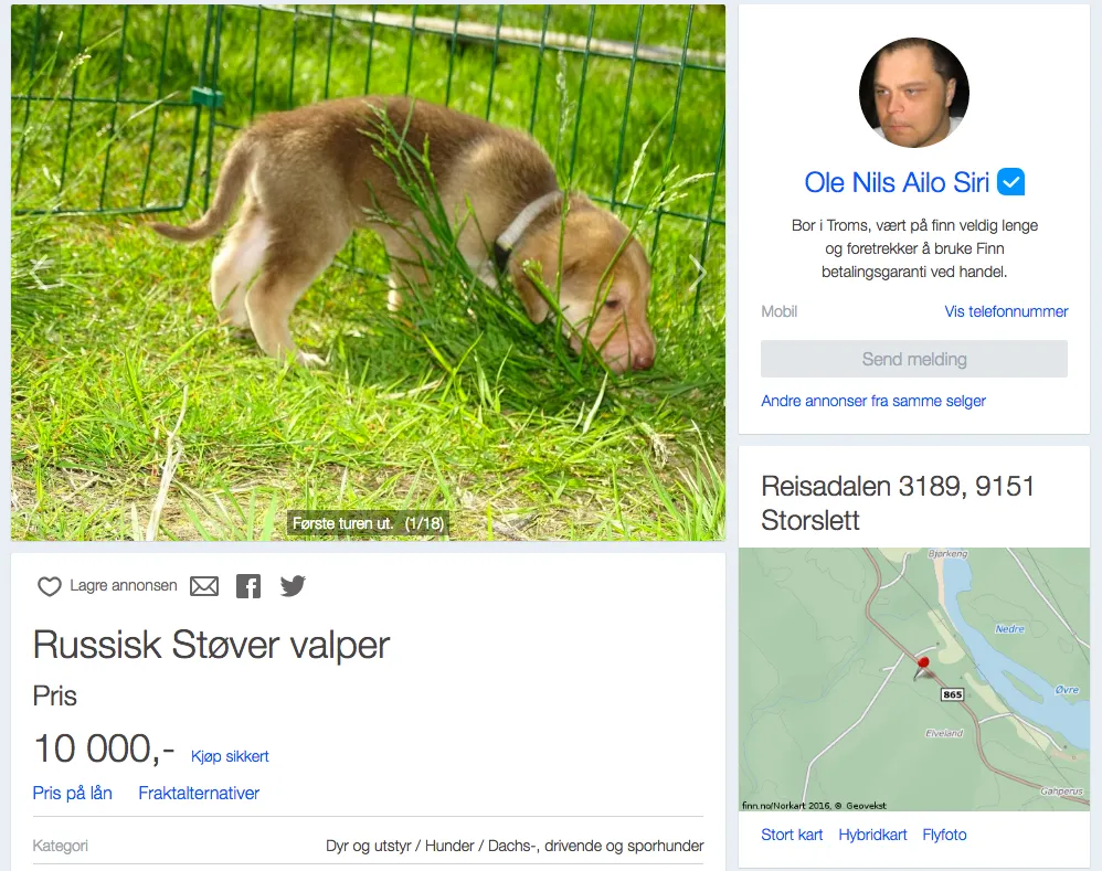 Russisk Støver annonse på finn.no
