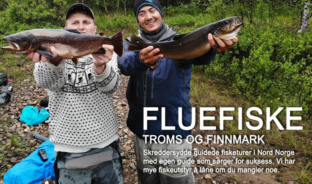 Fluefiske i Finnmark – det beste fra to verdener