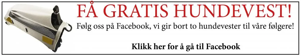 Klikk på denne for å vinne en Bearskin Dogvest V2.