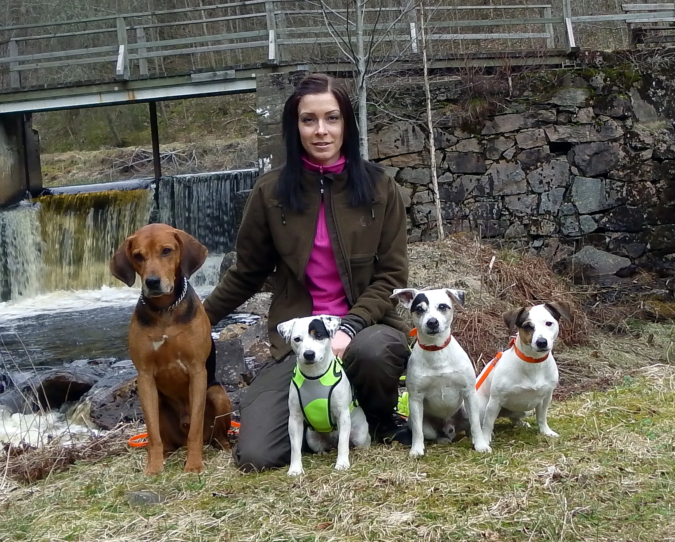 Angelica fra kennel russling