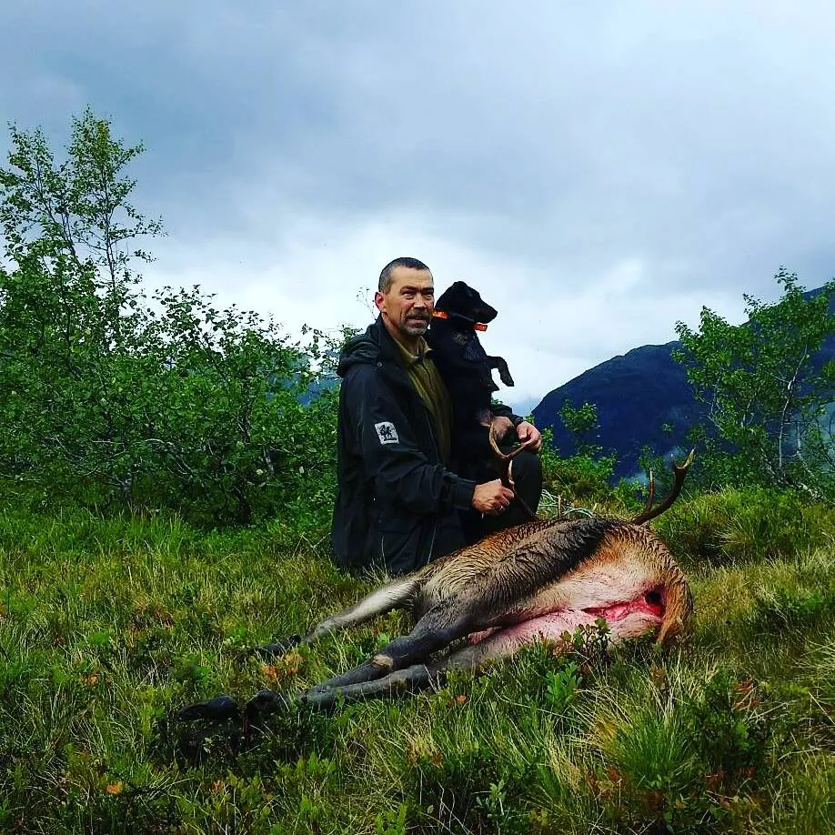 Jan Inge og Mira på hjortejakt