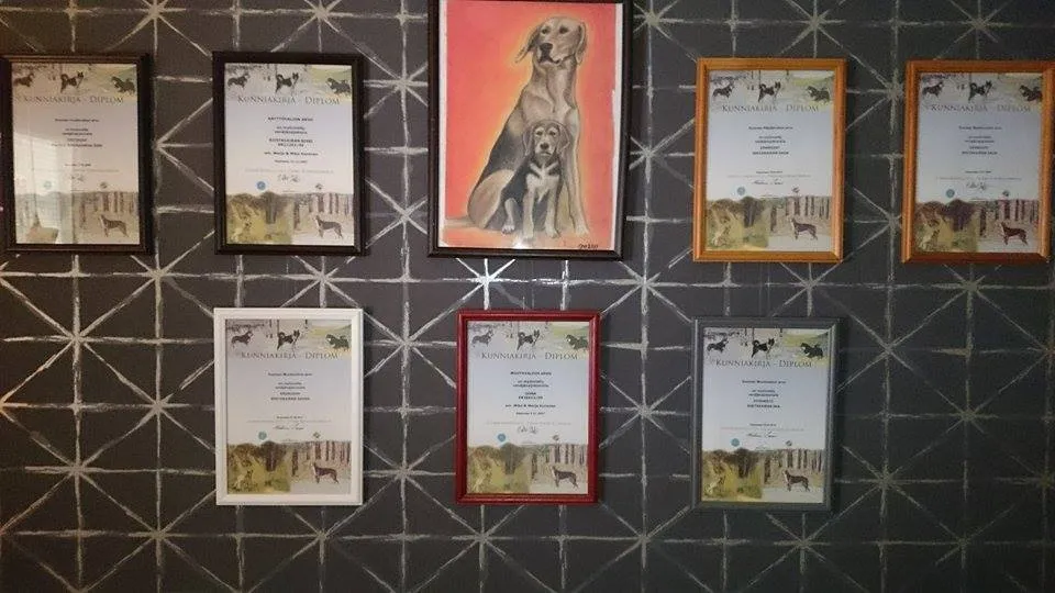 riistakairan kennel diplomer