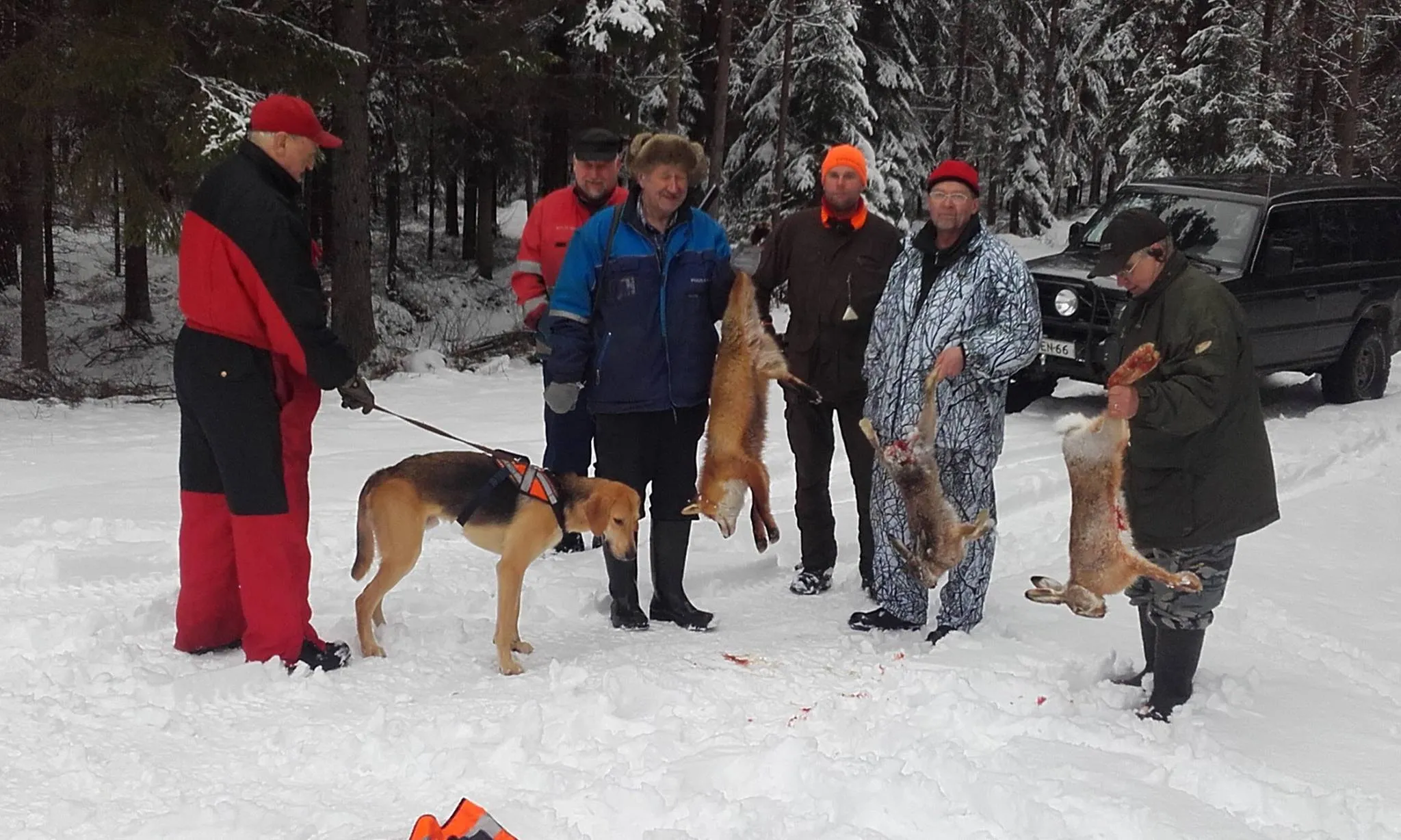 Riistakairan Kennel rev og hare