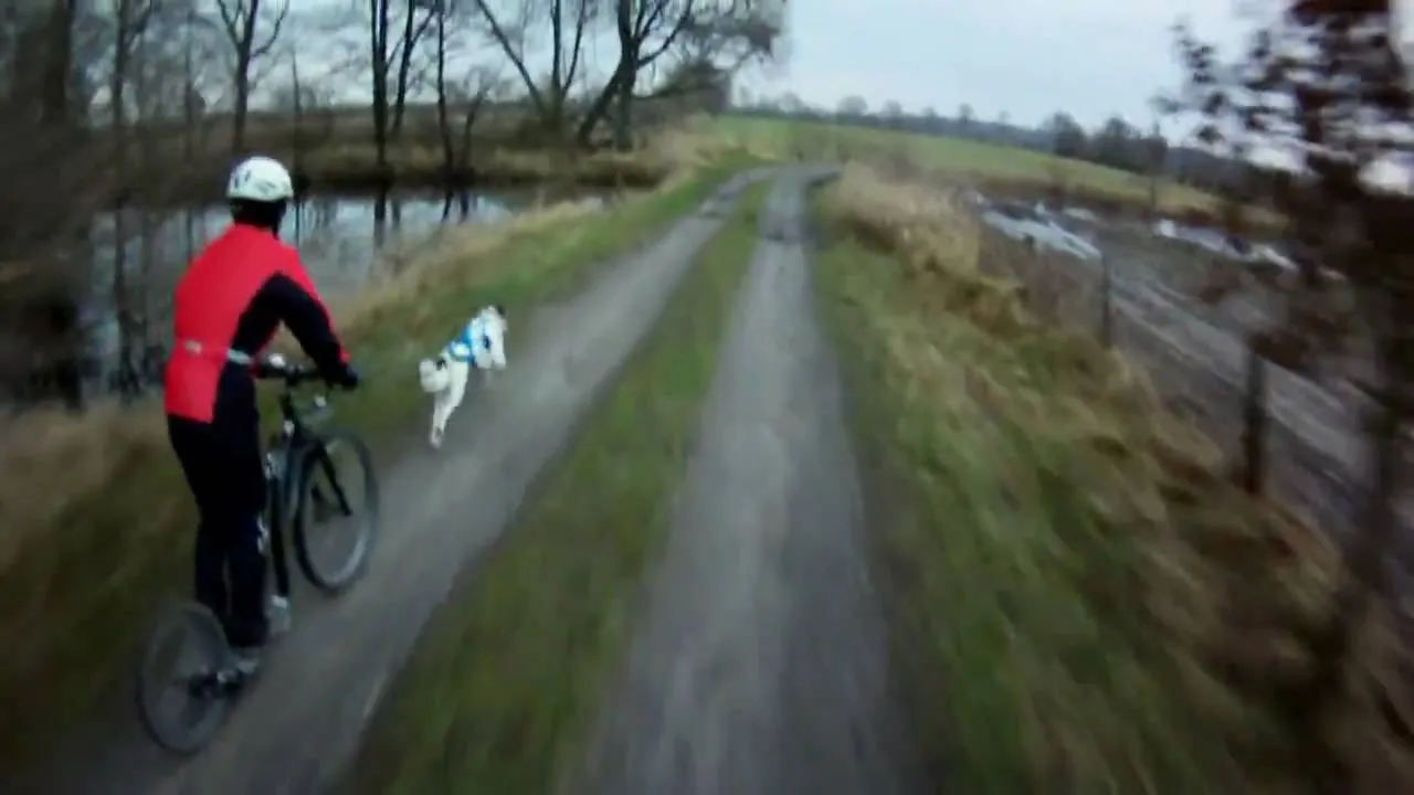 Trening av hund med sparkesykkel
